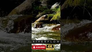 Sound Of River Flow - #meditate #relax #focus #sleep #yoga #ambience