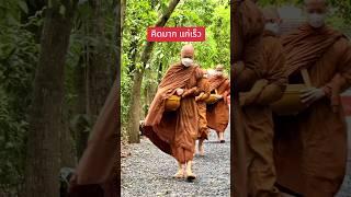 ไม่อยากแก่ต้องฟัง #ธรรมะ #พุทธวจน #วัดนาป่าพง #พระอาจารย์คึกฤทธิ์ #กายคตาสติ #อานาปานสติ #นกพรทิพย์