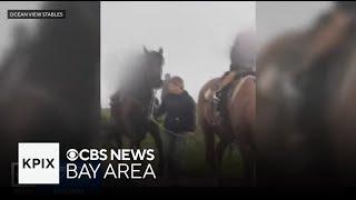 SF woman arrested, suspected of pulling horse's tail during youth's riding lesson