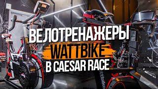 Caesar Race с уникальными велотренажерами WattBike в зале единоборств "Цезарь"