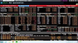 Introduction to Bloomberg Terminals