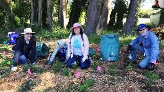 SBM Conference: Volunteering with San Mateo County Parks