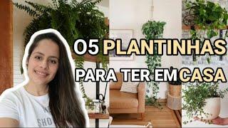 Como Usar Plantas na Decoração - PLANTINHAS NA SALA - Maryane Nunes