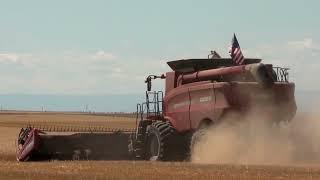 Western Ag Network Report for September 13, 2022