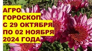 Как АГРОГОРОСКОП с 29 Октября по 02 Ноября 2024 Может Изменить Вашу Жизнь?