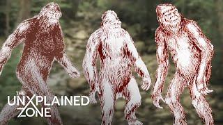 Human ABDUCTED By Family of SASQUATCH (S1) | MonsterQuest | The UnXplained Zone