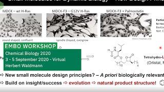 Keynote Lecture: Pseudo Natural Products – Chemical Evolution of Natural Product Structure