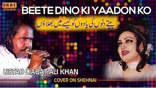 Beete Dino Ki Yaadon Ko | Best of Dhol & Shehnai | Liaqat Ali Shehnai Master | DAAC