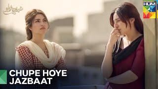 Shirin Ke Jazbat | Shirin Farhad Episode 11 - Hum Tv