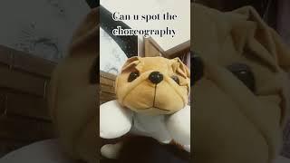 #robby #funnydog #funny #funnyanimal