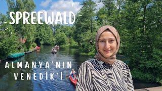 Day trip from Berlin: Spreewald  ️  Venice in Germany A Journey into the Nature