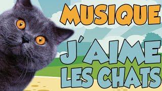 YOUTUNES - J'AIME LES CHATS (MUSIQUE)