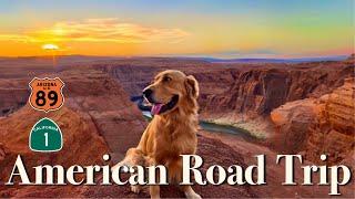  EPIC 10 Day ROAD TRIP with My DOG l Big SurㅣGrand CanyonㅣAspenㅣAntelopeㅣTravelㅣLas Vegas