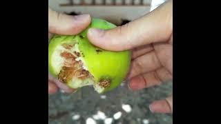 صلى الله عليه وسلم