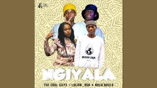 The Cool Guys x Lulow_RSA x Ndlu Nkulu - Ngiyala (Official Audio) | AMAPIANO