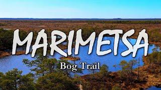 Marimetsa BOG TRAIL | Estonian Nature | Lääne County