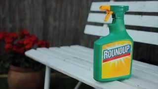 Roundup 1L Ready to Use | Video | Roundup Weedkiller