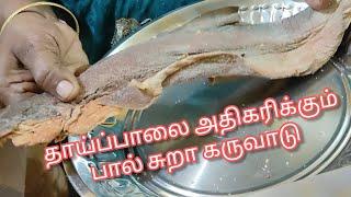 தாய்ப்பால் அதிகம் சுரக்க பால் சுறா -வ இப்படி சாப்பிட்டு பாருங்க|How to increase breastmilk In tamil