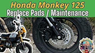 How to remove motorcycle brake pads ft. Honda Monkey