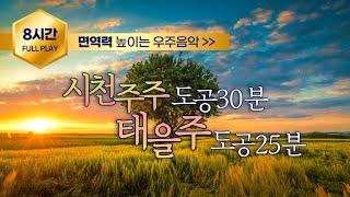 시천주주 태을주 도공수행 8시간ㅣ증산도 주문수행