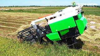 The Useful Combine Harvester Kubota DC105X Machines | Power Harvesting Machinery Farming In Cambodia