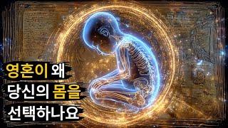 영혼의 비밀: 왜 당신의 몸을 선택했는가 | 영적 각성 설명