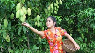 Countryside Life TV: '' One fruit for a table '' Green mango - 2 recipes with green mango