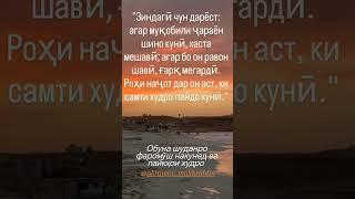 Як мисра шеър