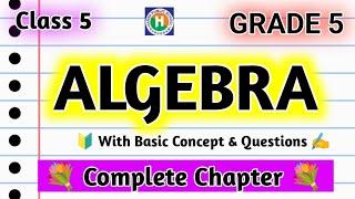 Introduction to Algebra Class 5|Algebra Basucs | What is Algebra | living Maths Algebra |Algebra