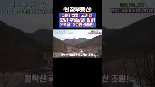 상선암 계곡 주변 고지대 조망 싼땅 #sorts #단양부동산 #단양토지매매 #현장부동산 #상선암