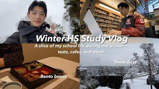 Winter Study Vlog️: Snow days, physics & econ studies, cafe hopping, and more!