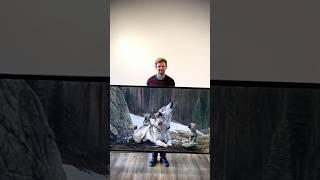Are you a wolf lover? Oil painting by wildlife artist James Corwin #art #animallover #inspiration