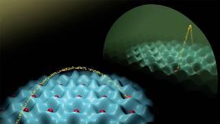 Physicists are shocked! Everything consists of information! There is nothing, only information