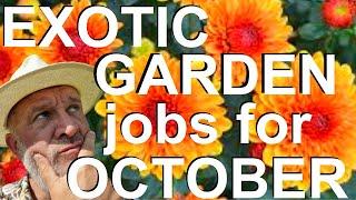 Topical Gardens UK: Exotic Garden Jobs for October