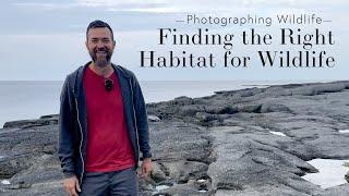 Finding the Right Habitat for Wildlife Photography