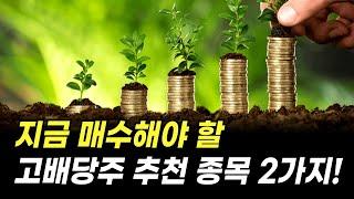 지금 매수해야 할 고배당주 추천 종목 2가지! (투자 방법, 주식)