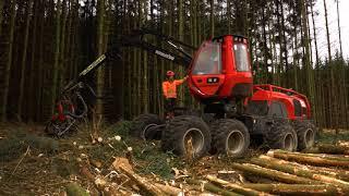 Jim gets a job for a day in Trees and Timber