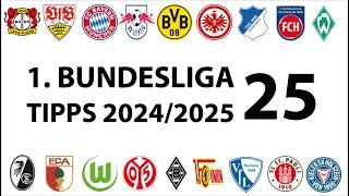 Bundesligatipps 1.Liga - 25.Spieltag - Saison 2024/2025