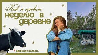 лето в брянской деревне | мамина еда, природа, коровы и лебеди 