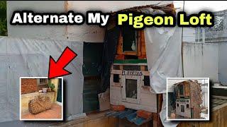 Renovation my pigeon loft  | Renew and repair | Pr Pigeons