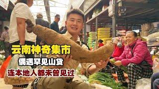 Magical Yunnan Market: Discover Rare Mountain Delicacies Even Locals Haven't Seen!