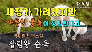 외로운 사람끼리 한 이불 안에서 정을 붙이며 살고 싶었다. [살림왕 순욱 박제현 단편소설] #하소담오디오드라마 #하소담오디오북