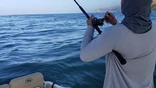Rob catches a salad with his bass