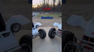 TRX 250R vs Banshee