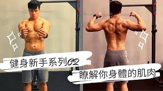瞭解你身體的肌肉｜健身新手EP02｜A.KUN阿錕