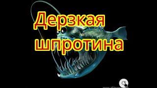 Nr.122Россиянин решил унизить дерзкого литовца  #@DerzkajaShprotina