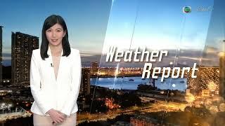 《 香港女主播 》〖TVB Anchor：賀子欣  BoBo Ho〗《Charming 》【明珠台。天氣報告  The Weather Report】2025年3月29日