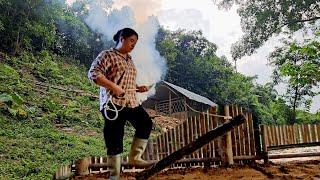 Dinh built a bamboo house alone after the mute boy left her.