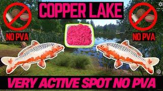 Russian Fishing 4 Active Spot NO PVA (Copper Lake)