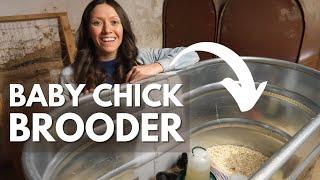 Chicken Brooder Setup | Baby Chicks Brooder